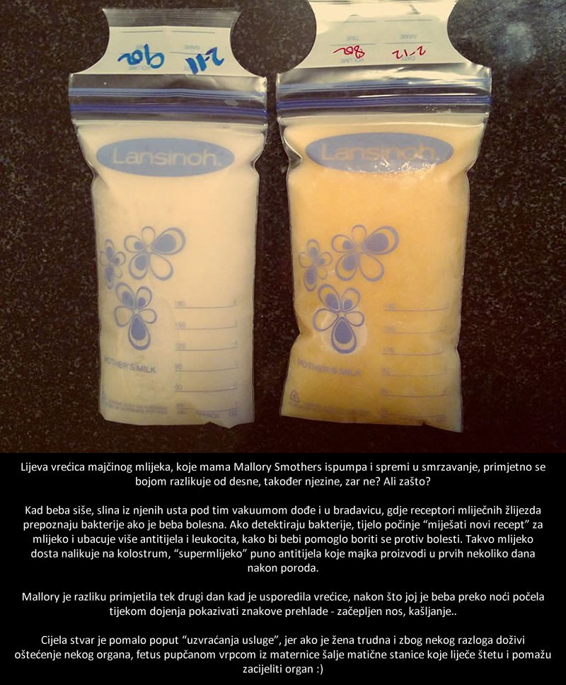 Fotografija dvije vrećice majčinog mlijeka postala apsolutni hit, a razlog je predivan!