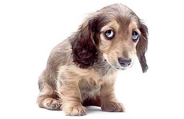 Ajde, budi zao prema njemu, ako imaš snage!