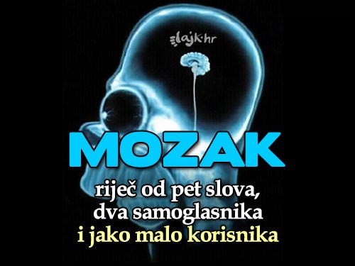 Što je mozak?