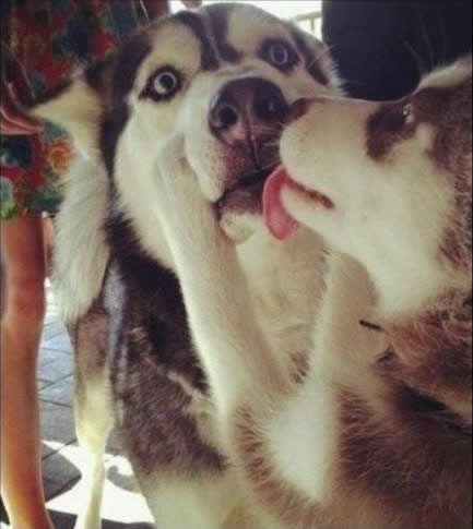 Je li.. je li ovo ljubav?