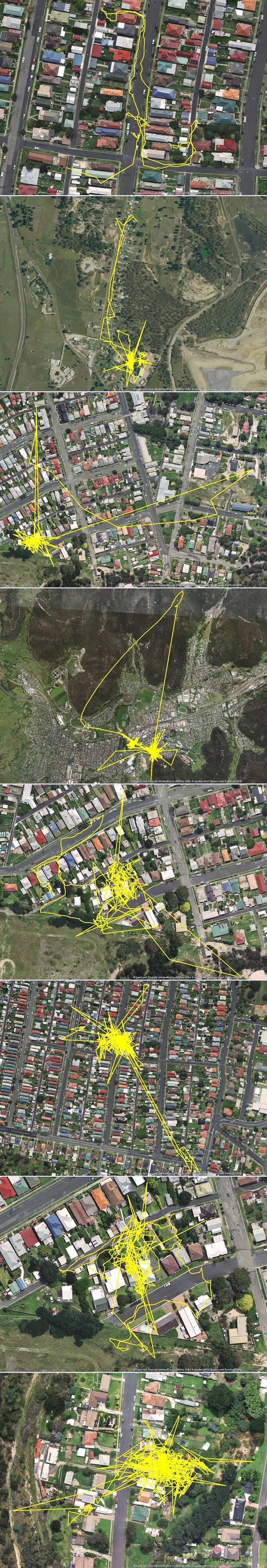 GPS otkriva nevjerojatna noćna putovanja vaših mačaka!