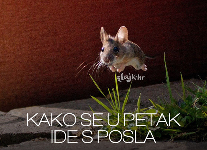 Ovo si ti danas