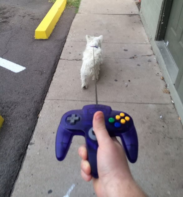 Kako gamera izvući u šetnju