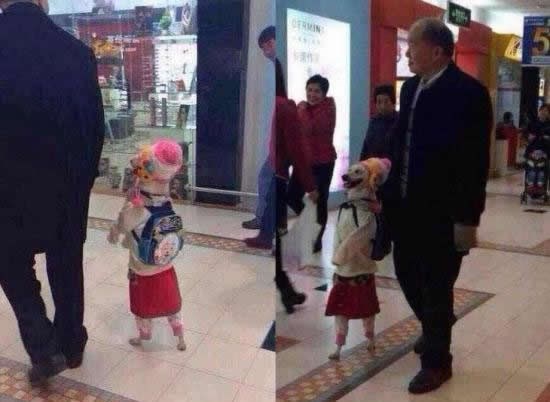 Ljudi su nekad totalno poremećeni