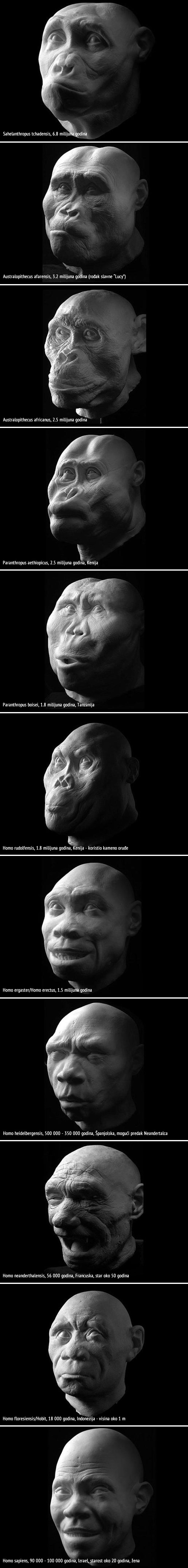 KAKO JE NASTAO ČOVJEK: Ovo su lica naših predaka