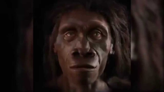 VIDEO Evo kako smo nastali od majmuna: Stručnjaci pokazali kako se mijenjalo lice naših predaka