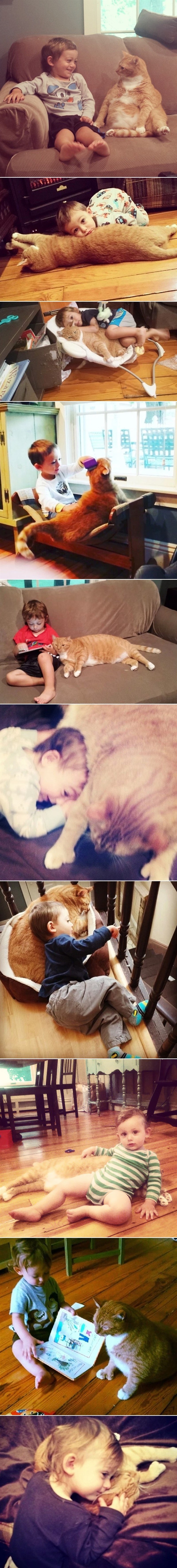 Napušteni mačak i maleni dječak postali su nerazdvojni prijatelji 