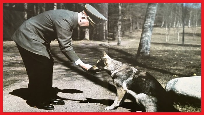 20 fotografija Adolfa Hitlera i jednog od rijetkih živih bića koje je stvarno volio