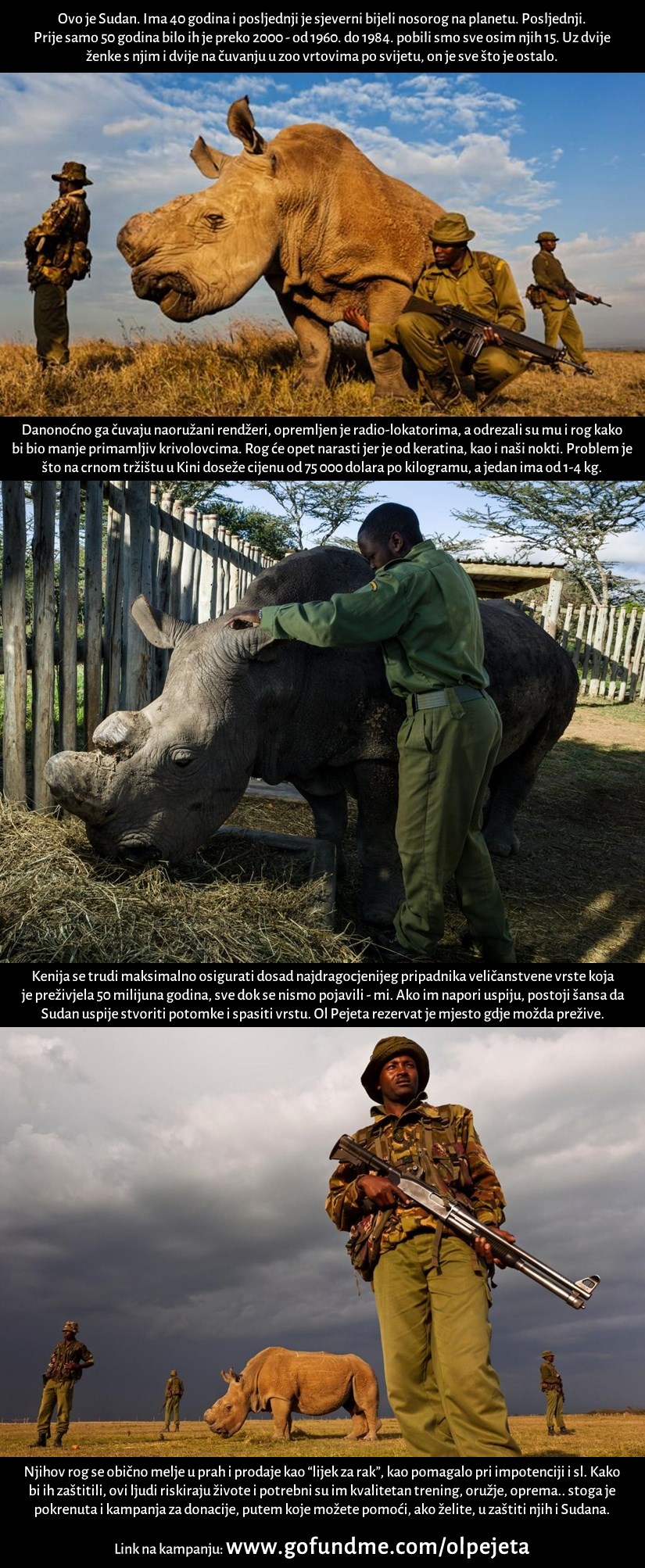 Galerija: Pomozi spasiti posljednjeg bijelog nosoroga na planetu!
