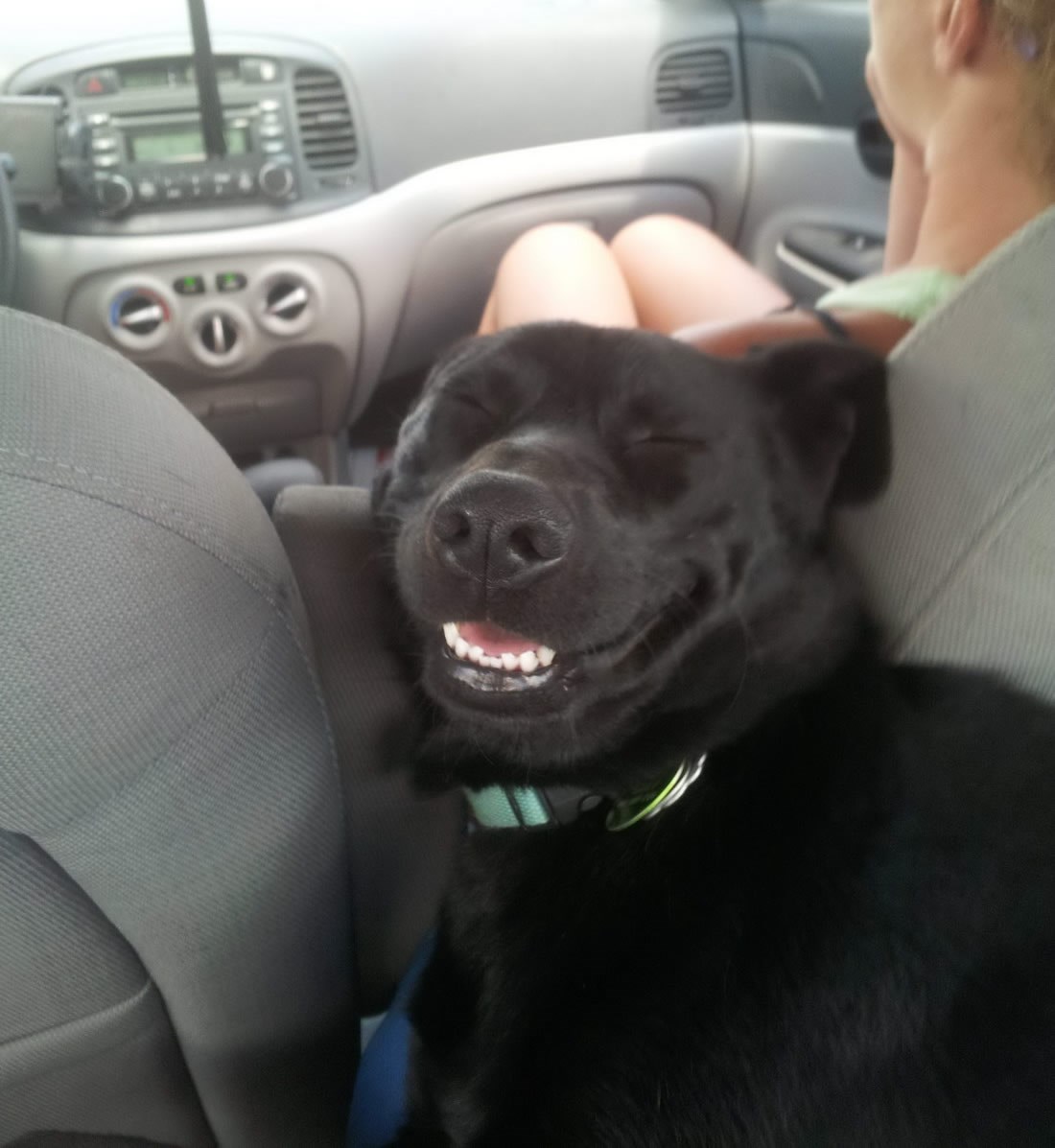 Roknuo im ubojitog "tihomira" u vožnji