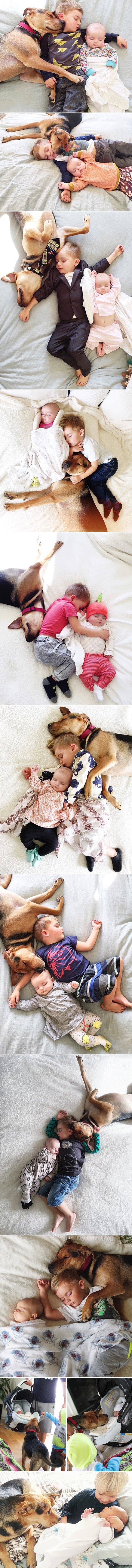 Galerija: Pospani dečkić i pas dobili društvo