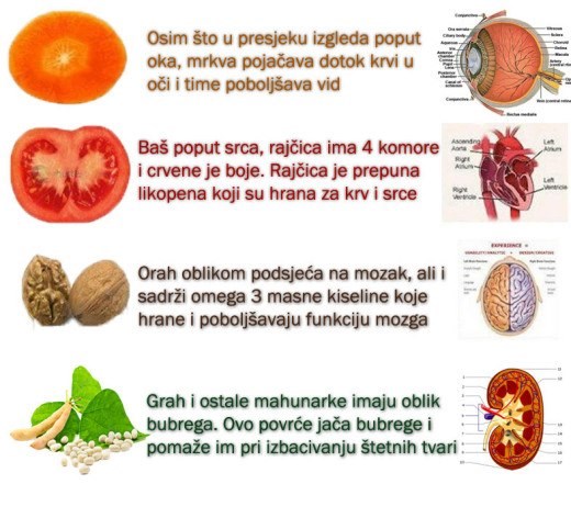 Neobični sklad hrane i ljudskog tijela