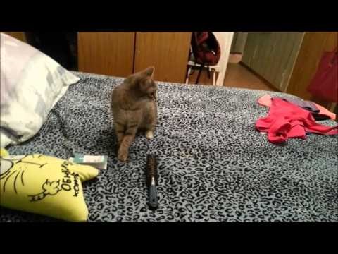 VIDEO: Moćnim kihanjem prepao brata, a mi umiremo od smijeha na blesave malce