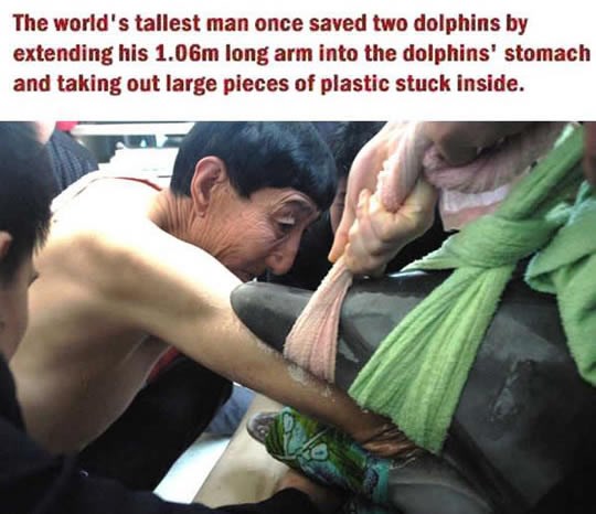 Najviši čovjek na svijetu spasio dva dupina