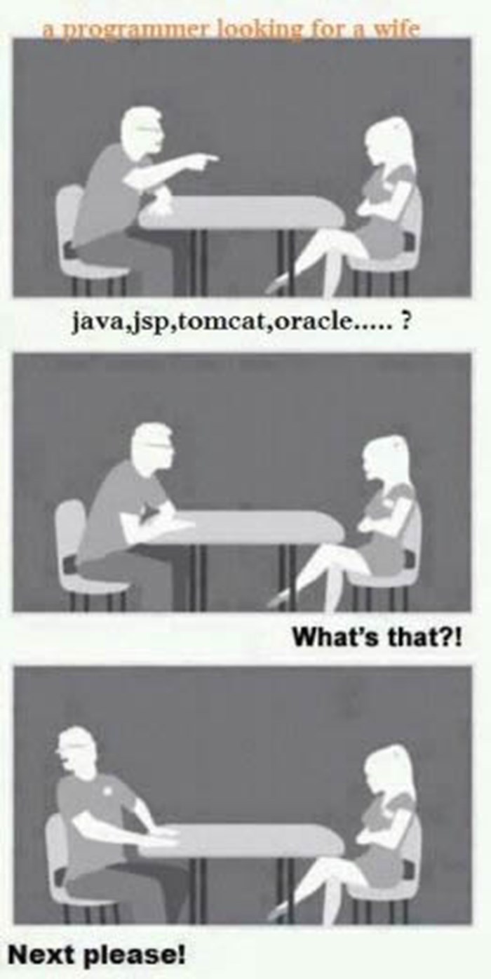 Kako programer bira ženu