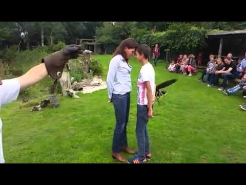 VIDEO Mama i sin su pred svima stali lice uz lice i uvjerili se u čudesne sposobnosti izdresiranog orla