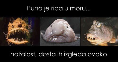 "Ne brini stari, pusti je, ima još riba u moru.."