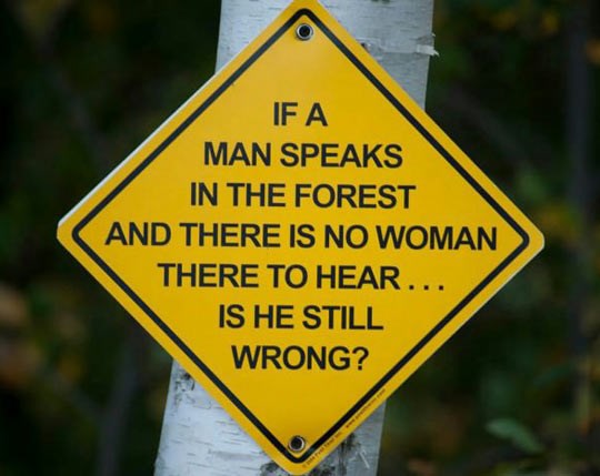 Ako nešto kažeš u šumi, a žena ne čuje, jesi ipak u krivu?