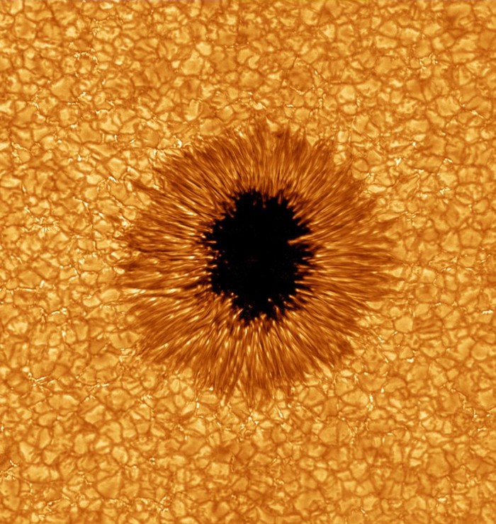 Sauron? Suncokret? Znate li što je ovo?