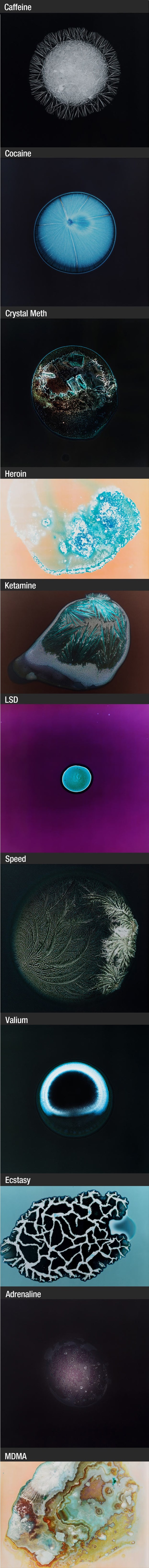 Galerija: Droge pod mikroskopom