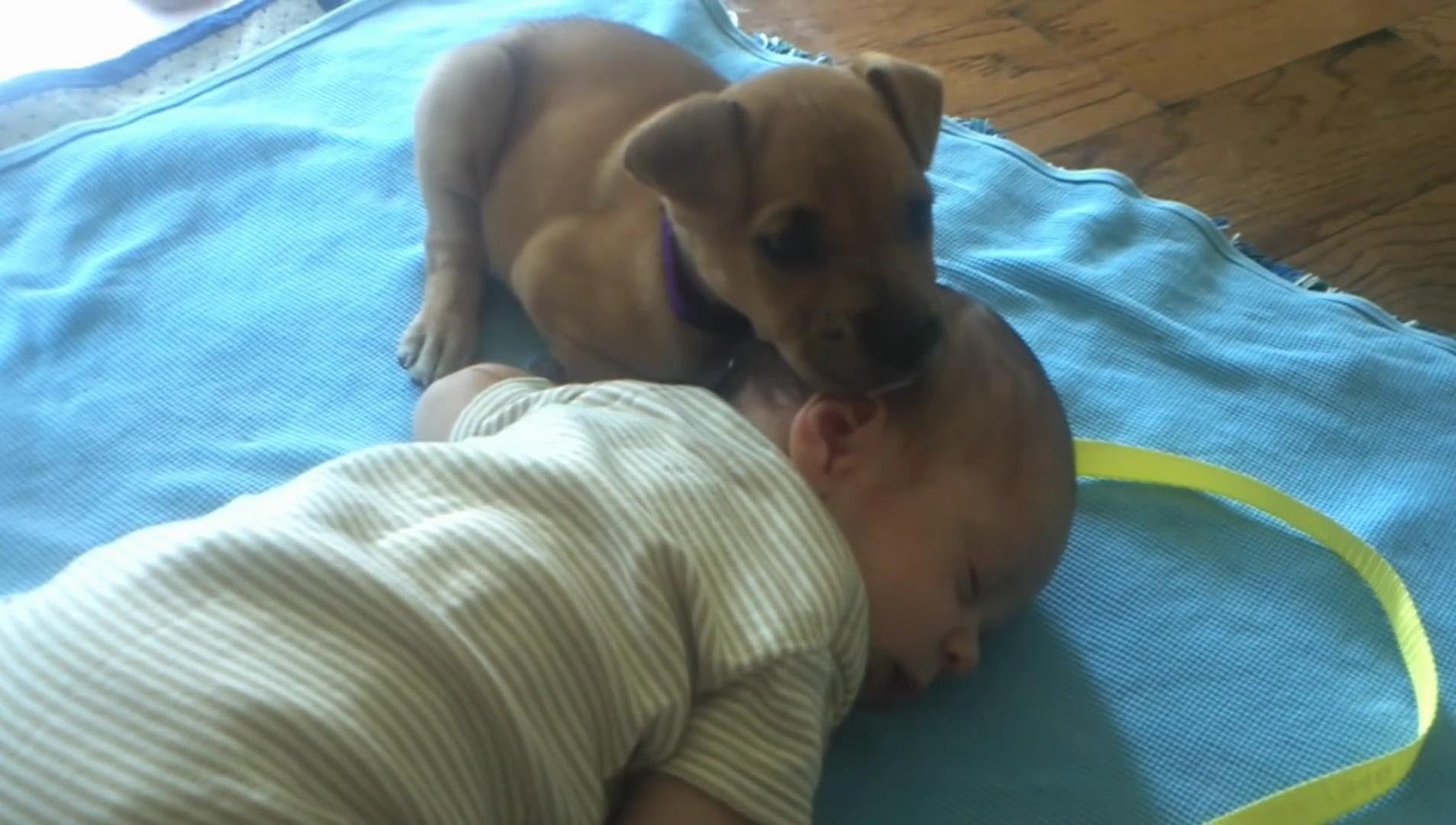 VIDEO: Nježne pospane okice nisu izdržale, zaspala je uz frendicu bebu