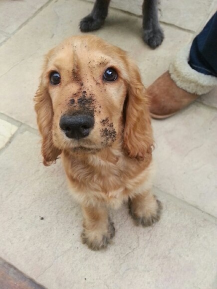 Kažeš tamo neka gredica s cvijećem? Nikad čuo ni vidio!
