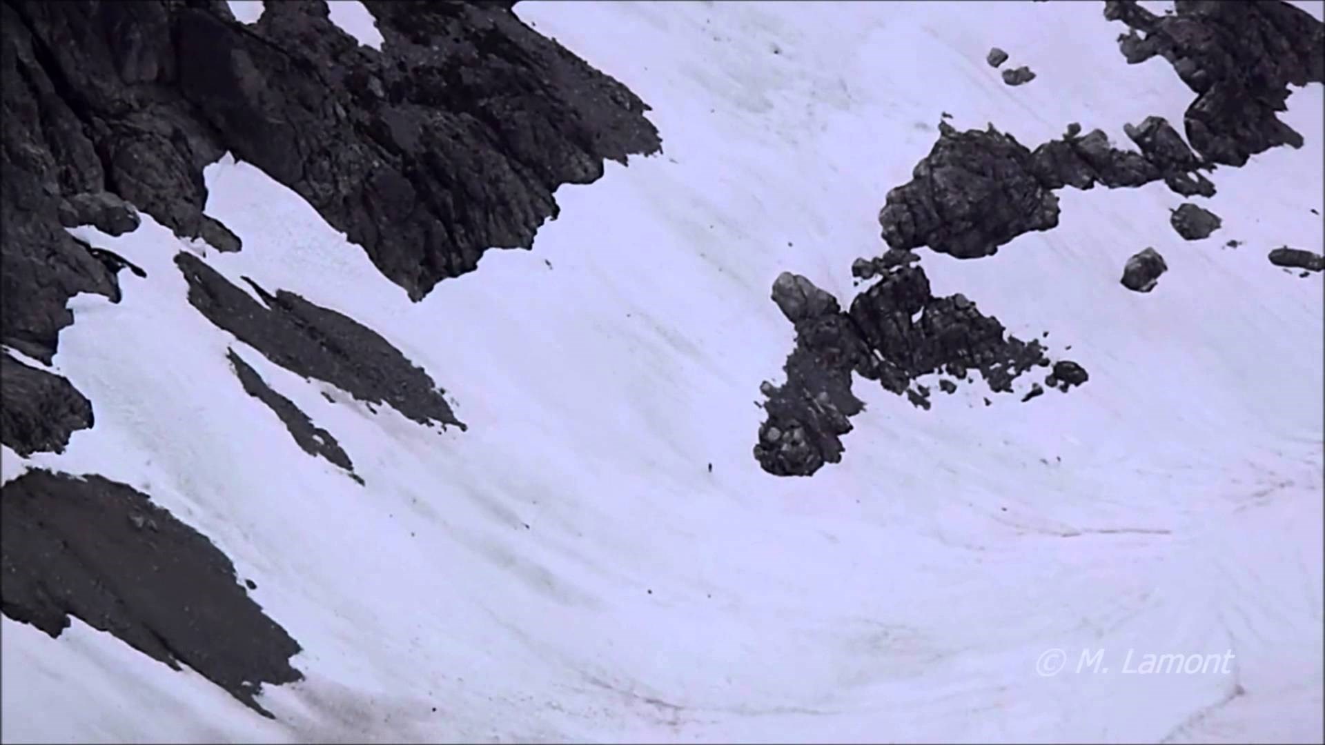 VIDEO: Kakvo to biće juri snijegom samo usred snježnog ničega? Sasquatch?