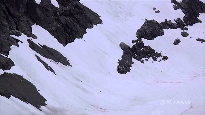 VIDEO: Kakvo to biće juri snijegom samo usred snježnog ničega? Sasquatch?