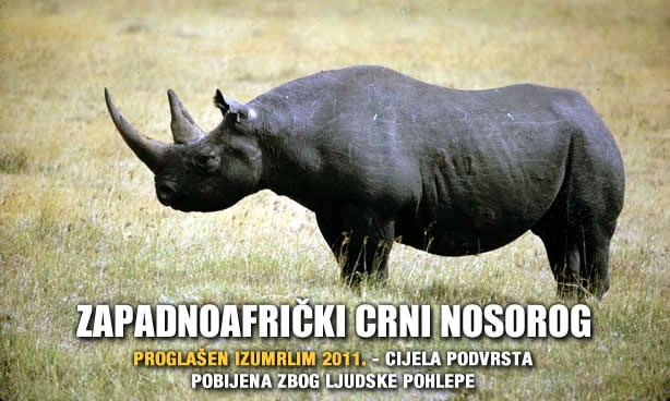 Čovjek istrijebio još jednu vrstu: Zbrisani s lica Zemlje