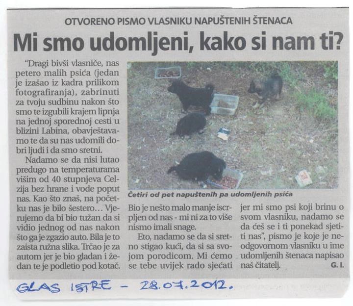 PISMO ČUDOVIŠTU: "Dragi bivši vlasniče, zabrinuti smo za tebe, izgubili smo te kraj jedne ceste zauvijek.."