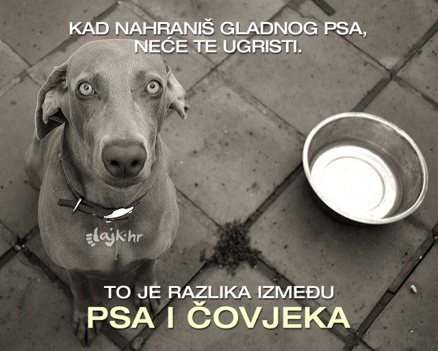 Što će ti čovjek napraviti, a pas neće?