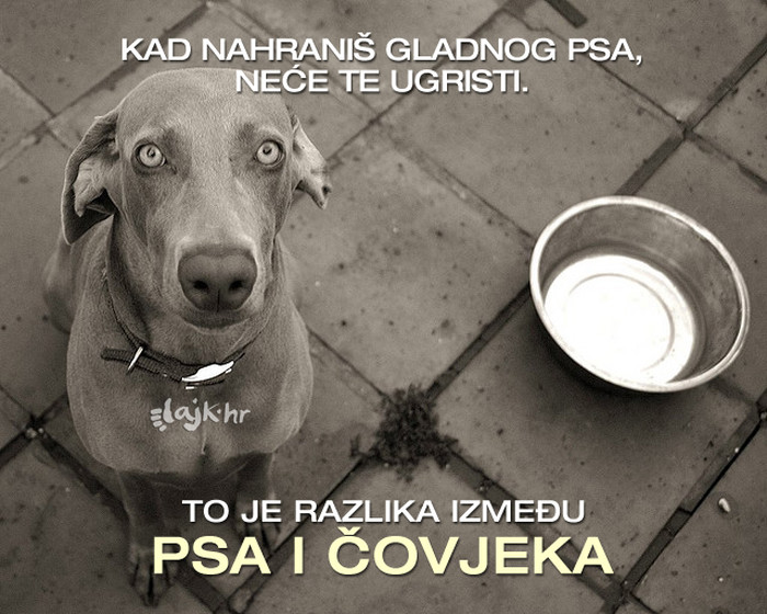 Što će ti čovjek napraviti, a pas neće?