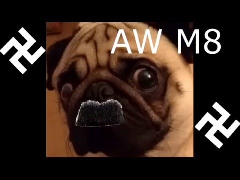 VIDEO: Naučio psa imitirati Adolfa Hitlera!