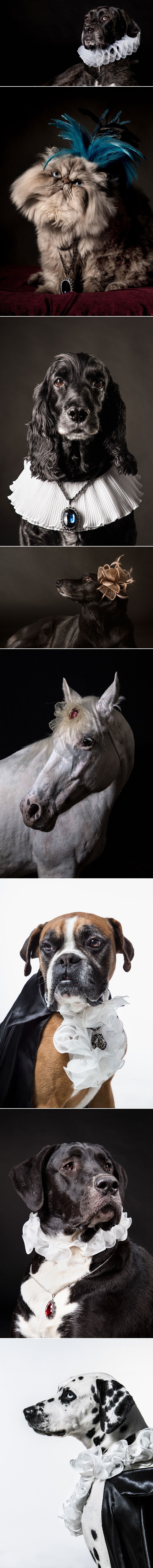 Što kad bi životinje bile ponosno plemstvo i aristokracija?