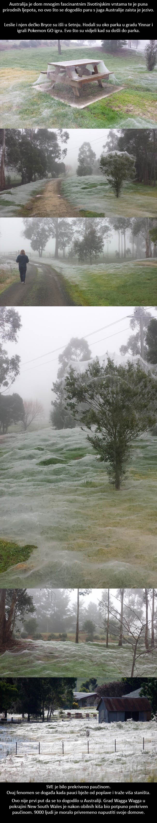 GALERIJA: Ovo što se paru iz Australije dogodilo je zaista JEZIVO!