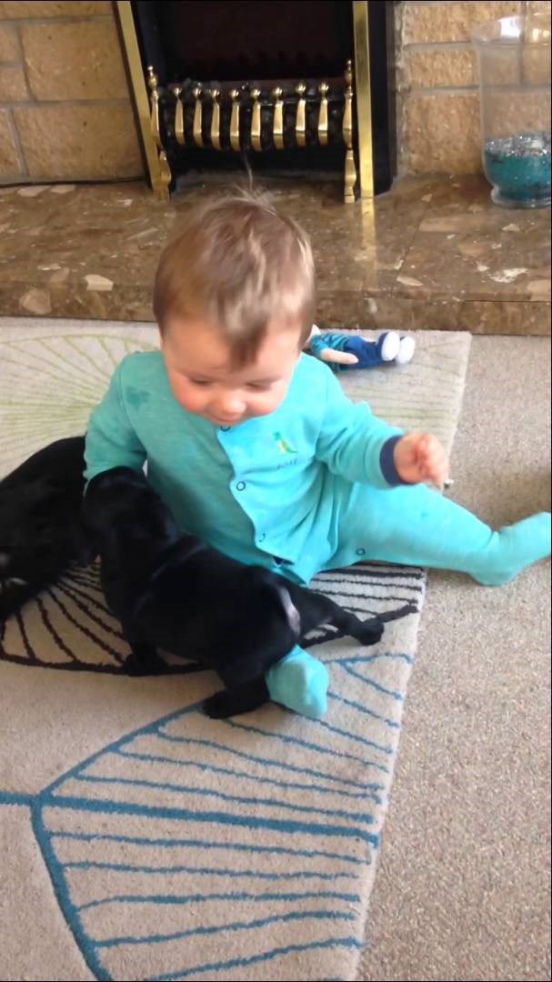 NAJKLINCI 2015: Još je beba, a već zna kako s nevinim malim bićima