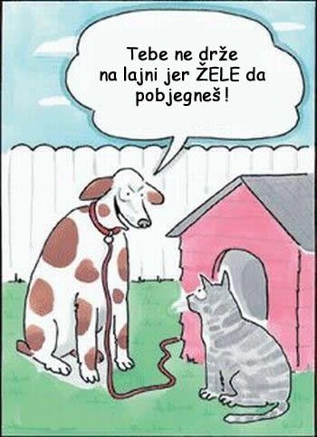 Zločesti pas mački šapuće grozote i tjera je preko ruba