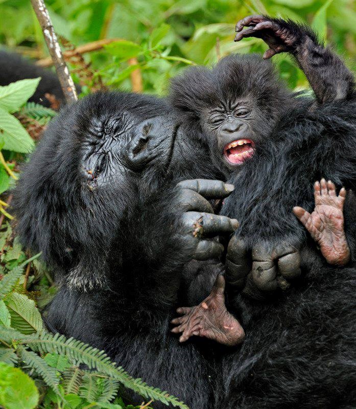 Mama, daj, dosadna si više s tim škakljanjem!
