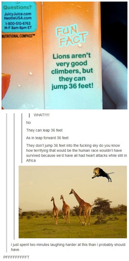 Ne vjeruj svemu što pročitaš: Lavovi "akrobati" ne postoje