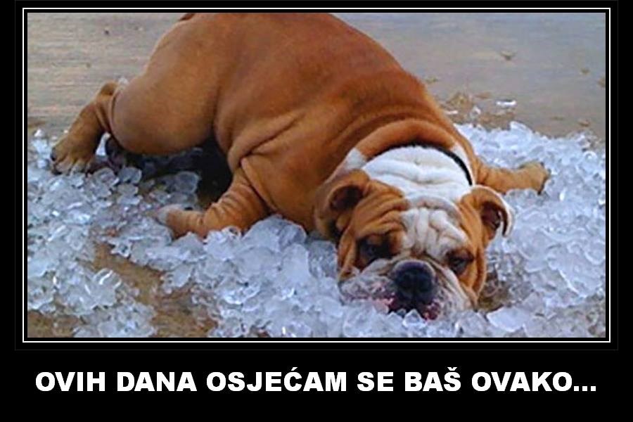 Mmmmmmmmmmmmmmmmm...