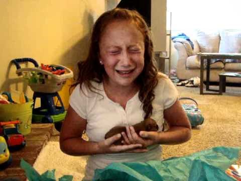 Konačno je dobila psića kojeg je priželjkivala godinu dana - njezina reakcija je preslatka