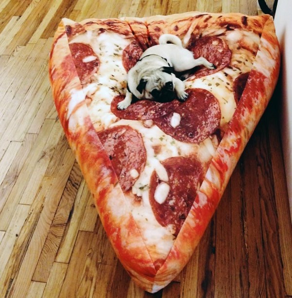 Nova moda psećih luksuznih krevetića