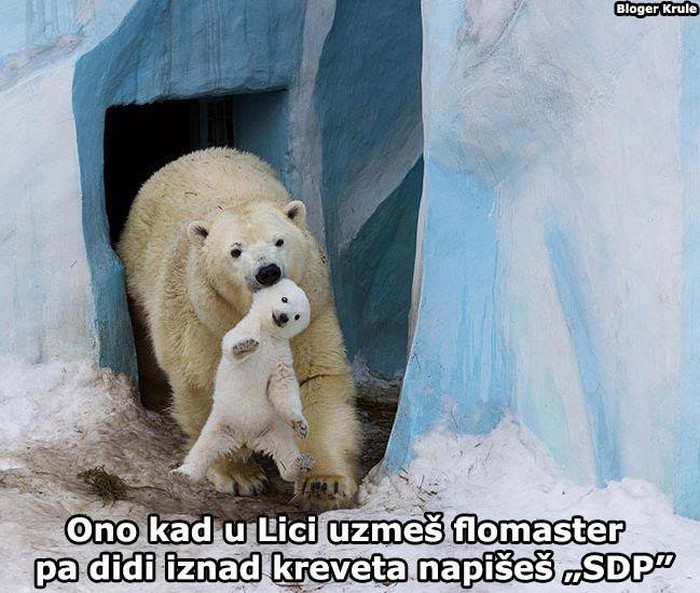 U Ličkoj abecedi ne postoje slova S, D i P