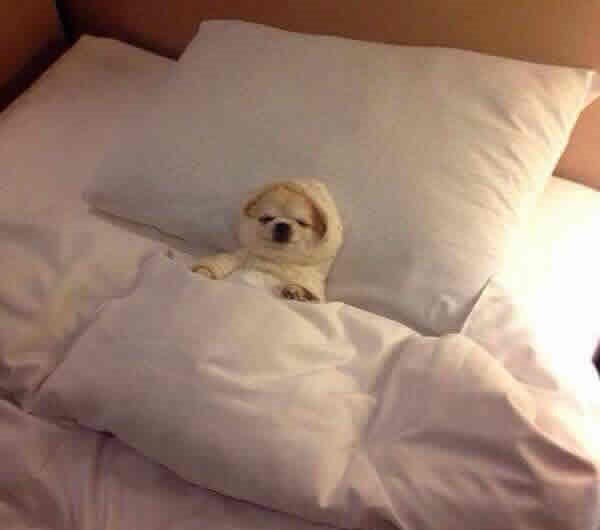 Frajerčić zaradio pare, sad spava u dvorcu