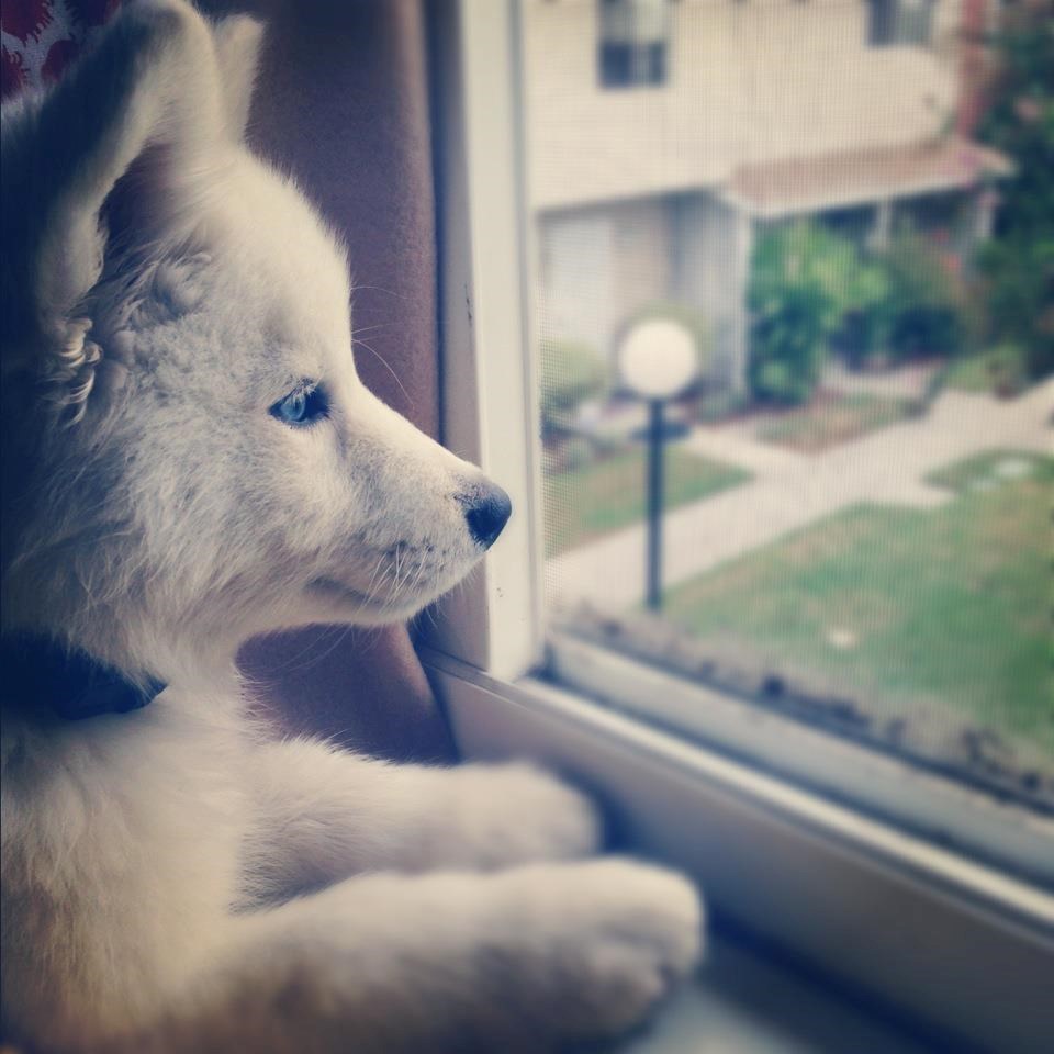 Čeka te, već je petak, daj se vrati!