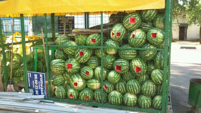 Kako krade mučka đubrad!