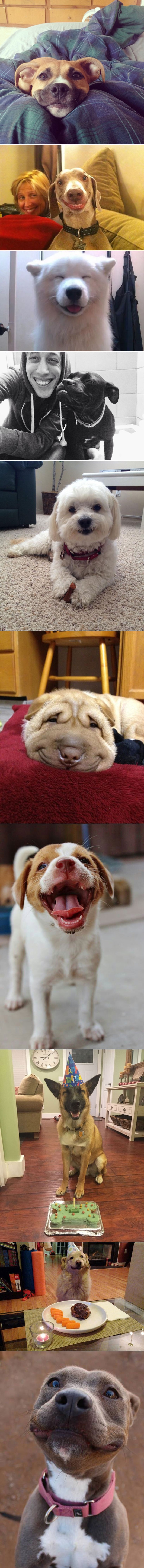 GALERIJA: Smij se dok još imaš zube