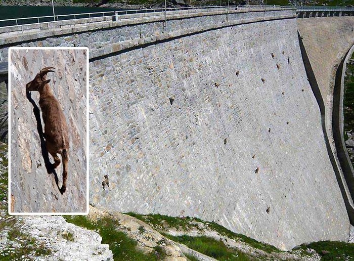 "Superkoze" izvode nemoguće