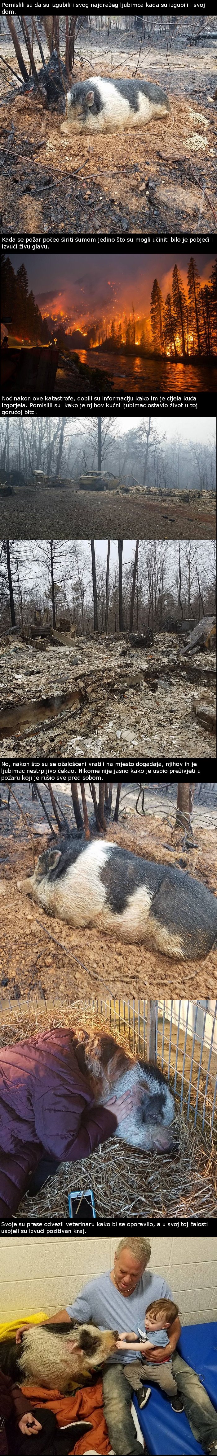 Mislili su da im je požar odnio sve, no ono što su zatekli vratilo im je osmijeh na lice