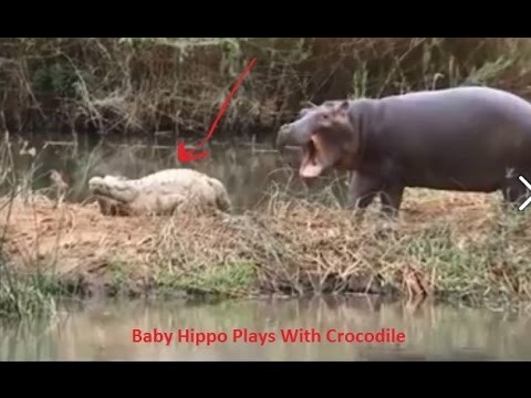 VIDEO: Tako mali, a već voli opasne cure